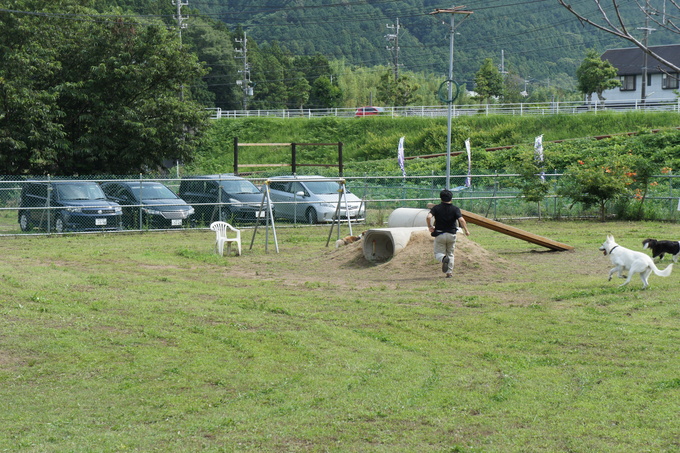 f0267902_23301410.jpg