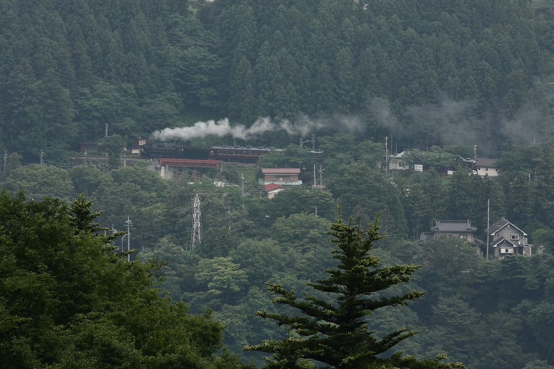 赤い鉄橋と白煙 - 2013年梅雨・秩父 - _b0190710_23445.jpg