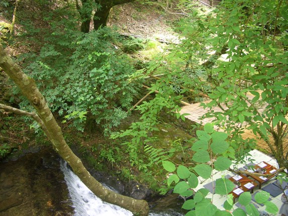 e0033713_101492.jpg