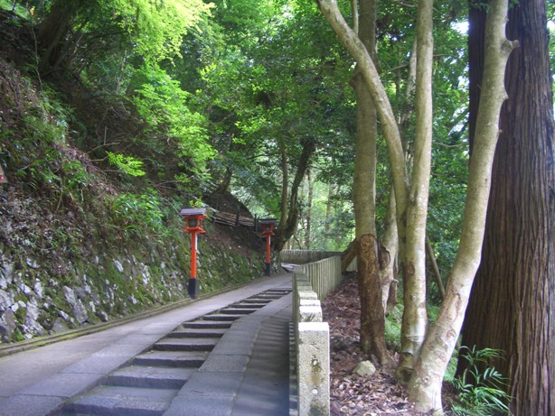 e0033713_7433963.jpg