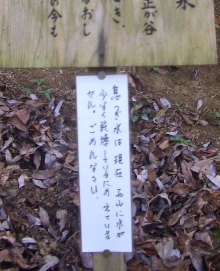 e0033713_8134297.jpg
