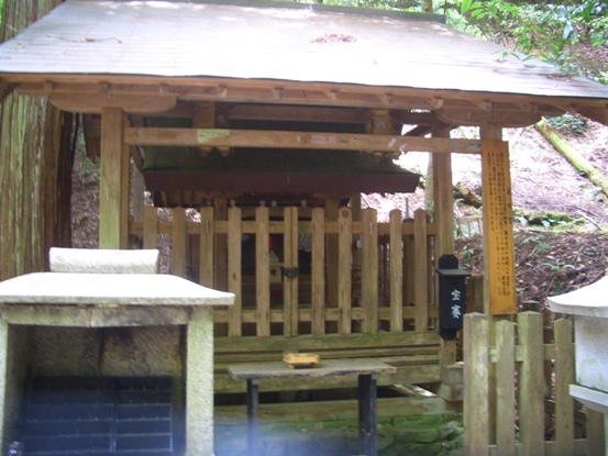 e0033713_8375085.jpg