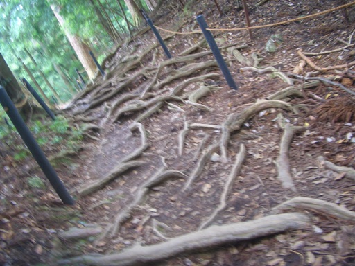 e0033713_848136.jpg