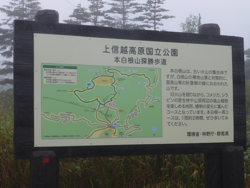 f0033314_17324025.jpg