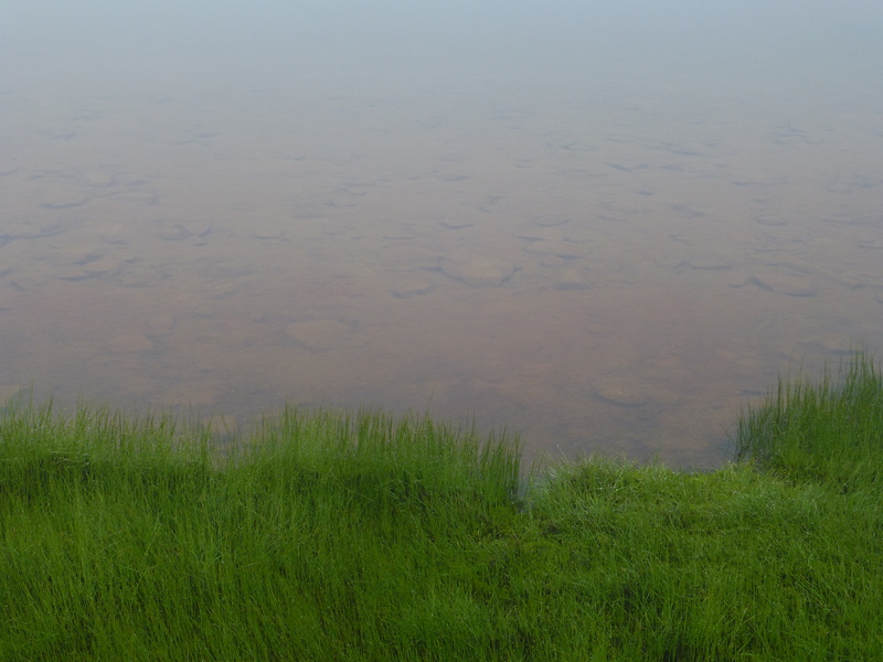 f0033314_17512581.jpg