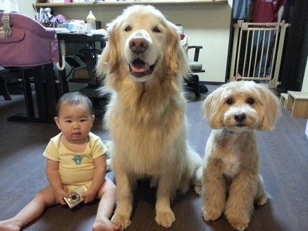 ビフォー アフター_e0136815_10483729.jpg