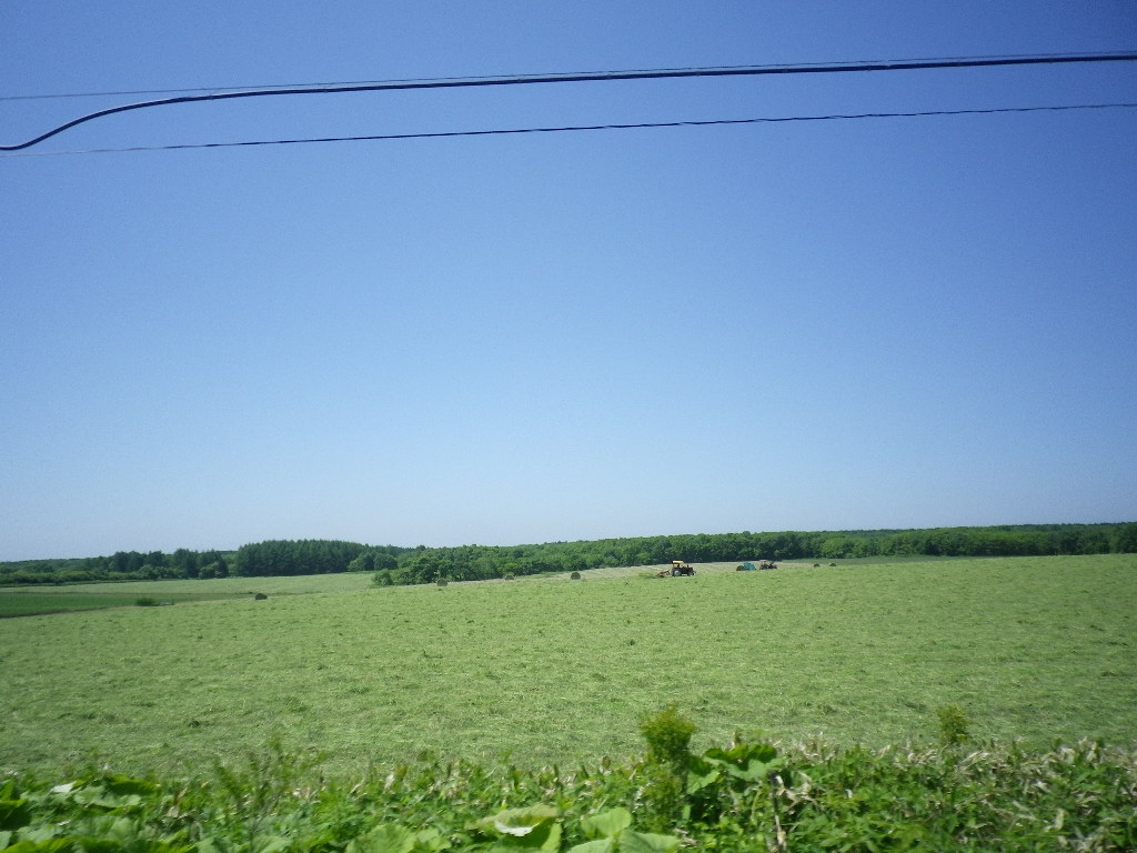 e0052716_1432890.jpg