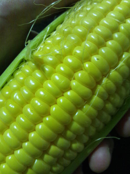 c0213817_18345985.jpg