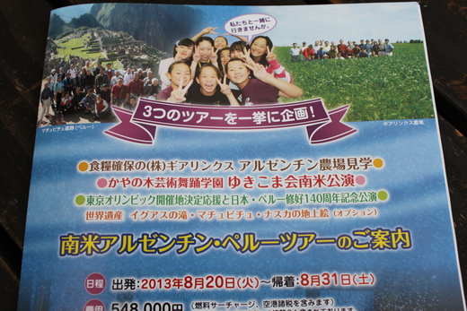 南米アルゼンチン・ペルーツアーご案内_d0063218_1151394.jpg