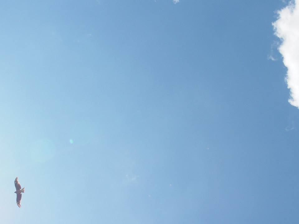 e0206718_13142394.jpg