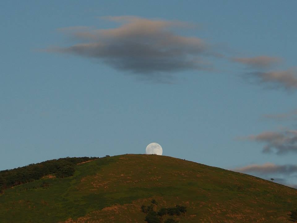 e0206718_13143562.jpg