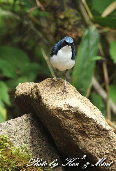 e0218518_17425581.jpg