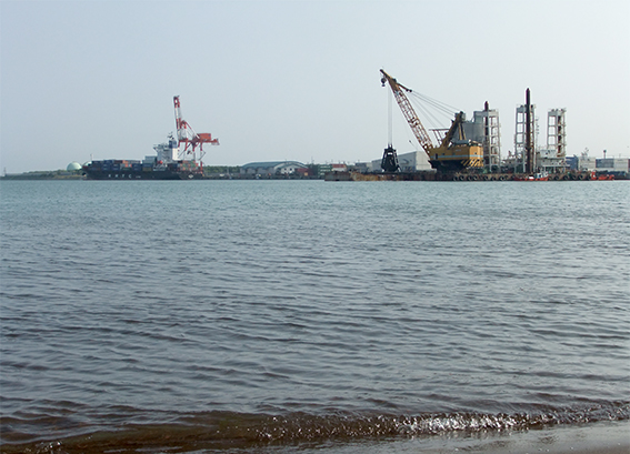 a0155319_96988.jpg