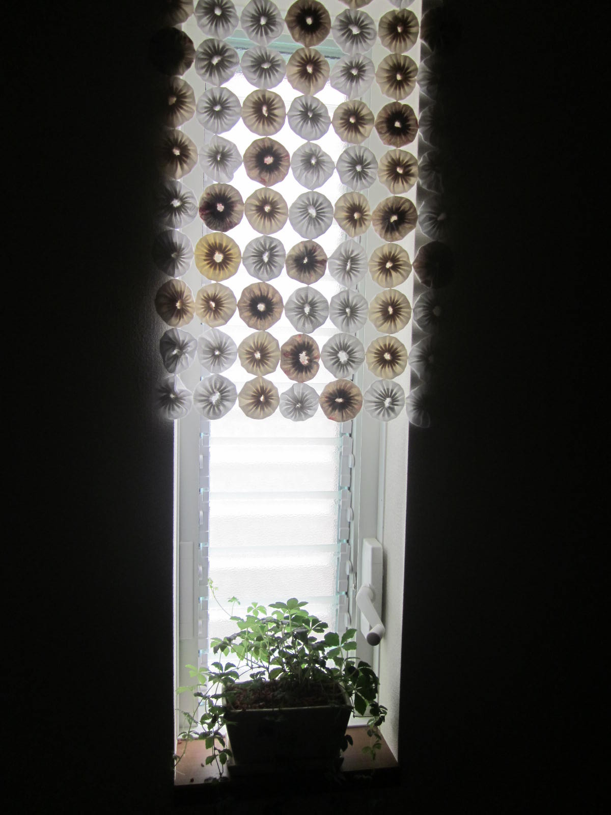 e0330519_223669.jpg