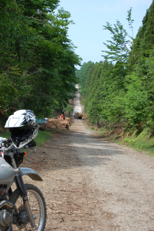 f0248120_22214842.jpg