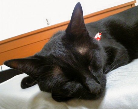 c0280322_1831463.jpg