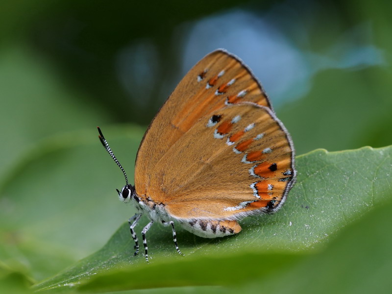 d0090322_6155138.jpg