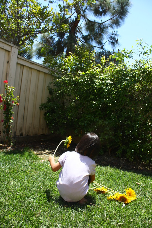 b0255523_741589.jpg