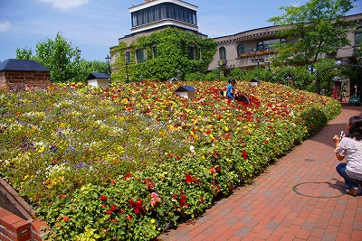 f0170524_6375413.jpg
