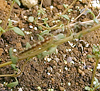 f0108133_034534.jpg