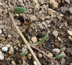 f0108133_04952.jpg