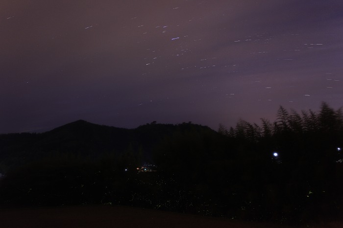 a0294534_1947457.jpg