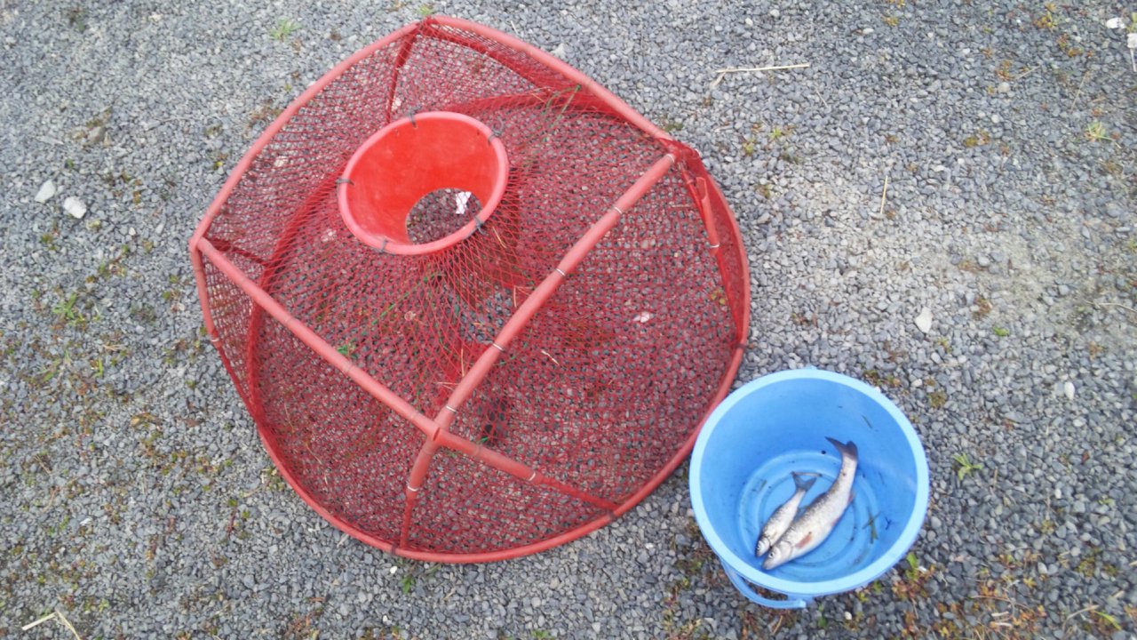 f0253236_191189.jpg