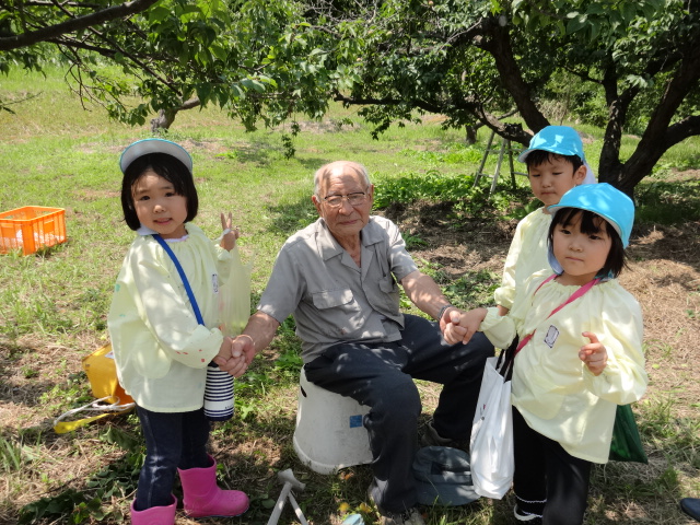 梅もぎに行って来ました_d0166047_1510578.jpg