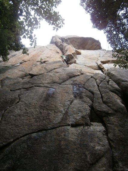 b0077448_12142188.jpg
