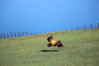b0220958_042881.gif
