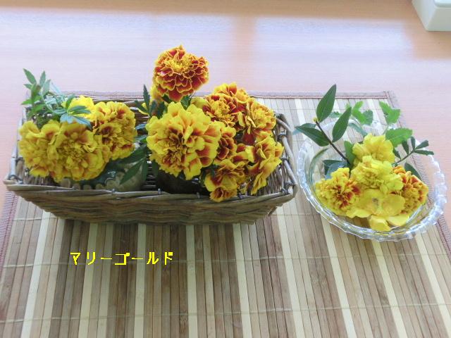 d0255763_17305384.jpg