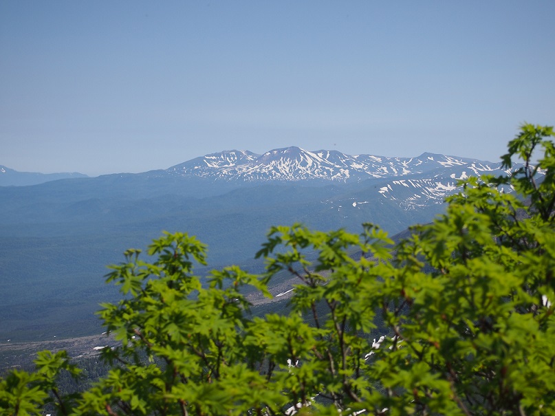 b0281366_10515992.jpg