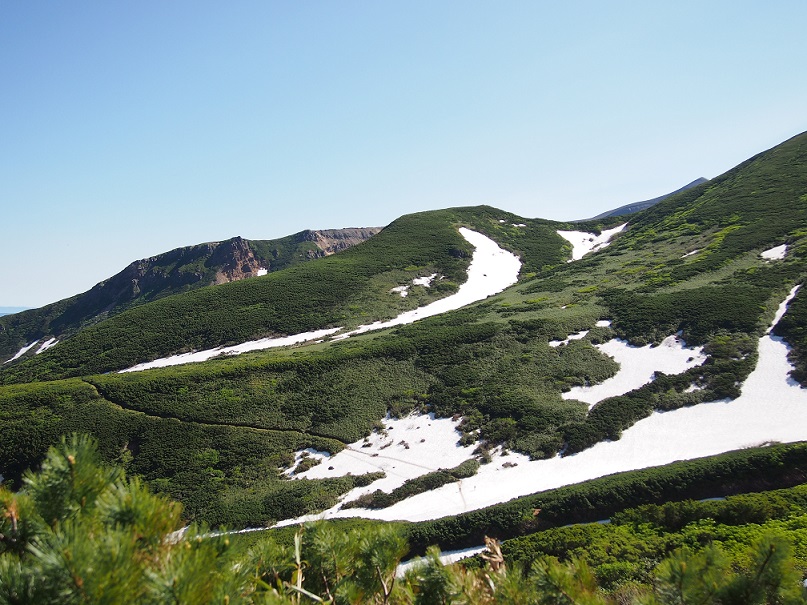 b0281366_123163.jpg