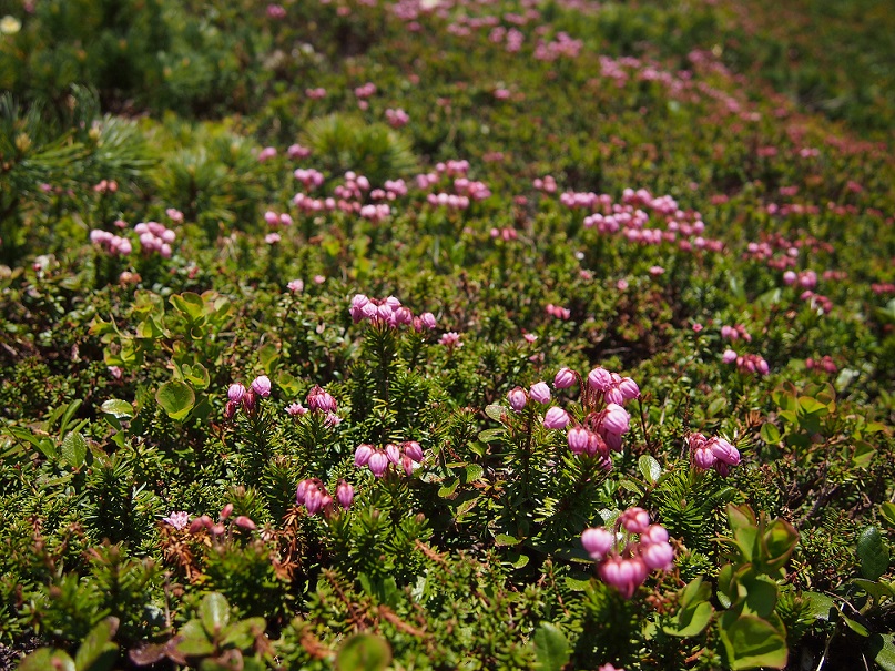 b0281366_14461256.jpg