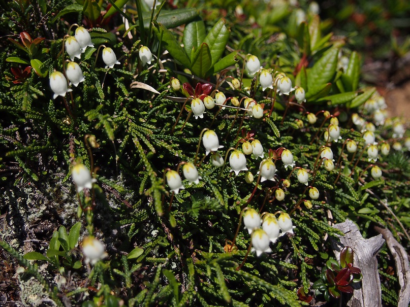 b0281366_15151096.jpg