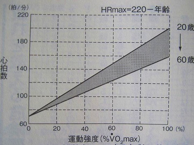 c0219866_1659455.jpg