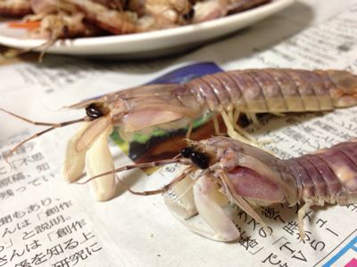 泉州名物 シャコです Qpの思い立ったら吉日 絵手紙 消しゴムはんこ 小物作り 泉州名物 シャコです Qpの思い立ったら吉日 絵手紙 消しゴムはんこ 小物作り