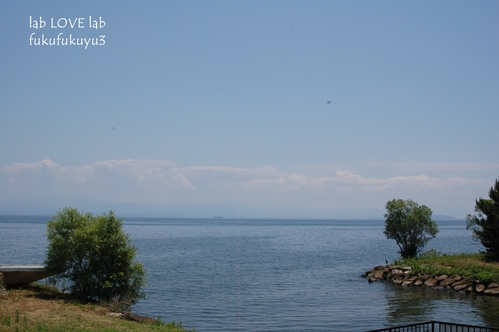 b0196568_18595100.jpg