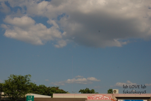 b0196568_2021999.jpg