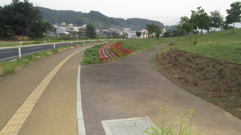 今朝の散歩…太陽の昇る前から日が差してくるくらいまで。_d0159273_6224377.jpg