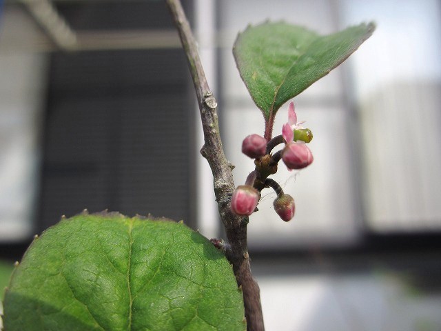 b0182884_23372342.jpg
