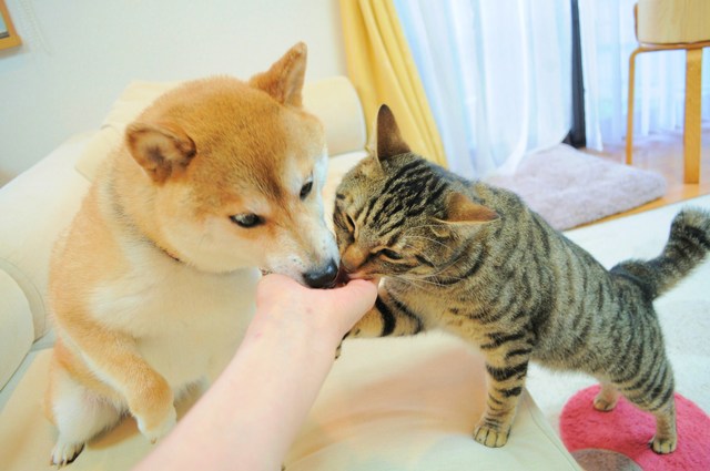 美味しい顔ってこんな顔_a0126590_5422288.jpg