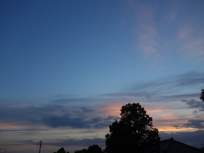 d0021491_12495279.jpg