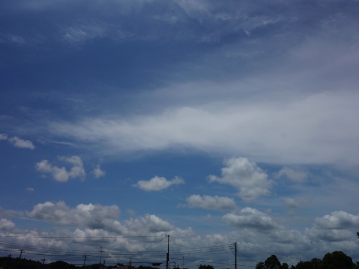 d0021491_1249974.jpg