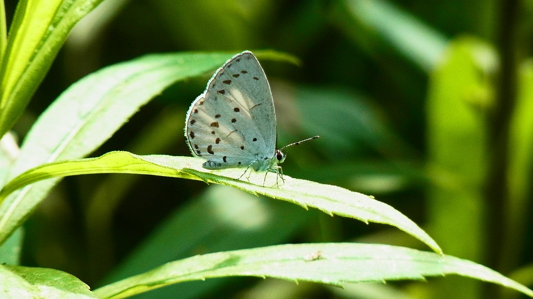 a0152692_18341346.jpg