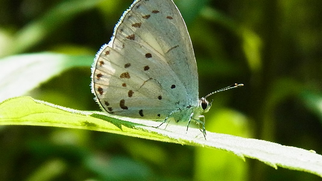 a0152692_18342939.jpg