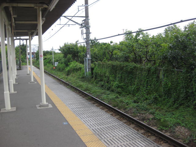 a0224502_13514137.jpg
