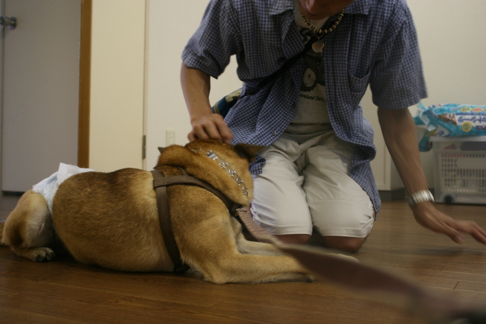 さいわい会館さとおや会(6/23)_f0242002_1914749.jpg