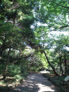 a0292205_9172575.jpg