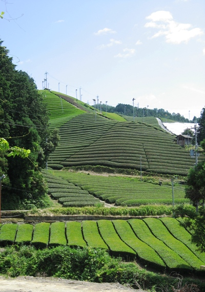 d0125208_16445747.jpg